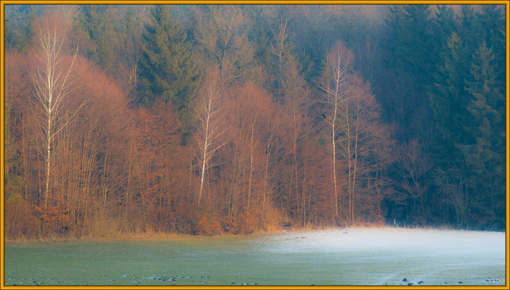 Winterlandschaft-3