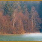 Winterlandschaft-3