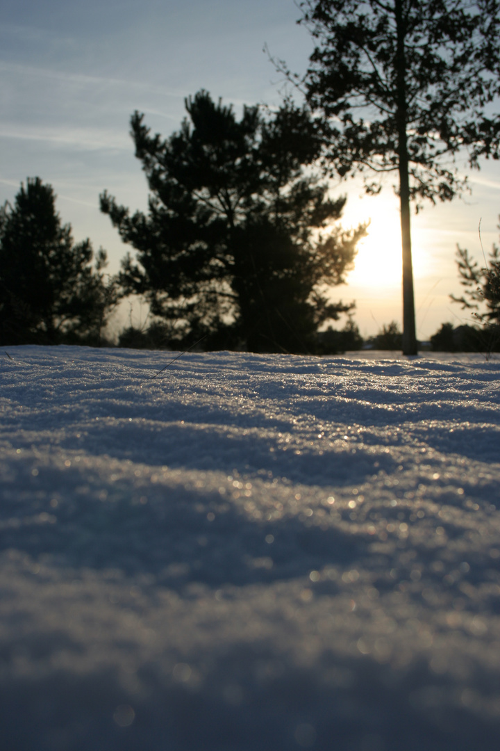 Winterlandschaft