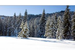 Winterlandschaft