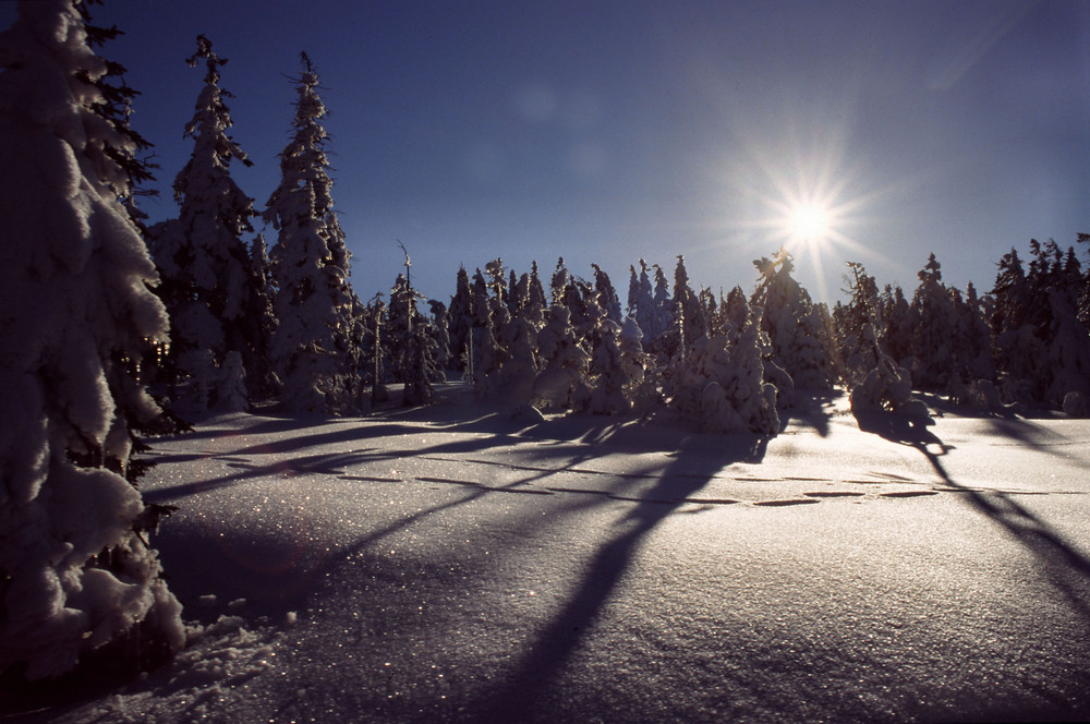 Winterlandschaft