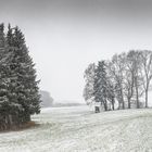 winterlandschaft