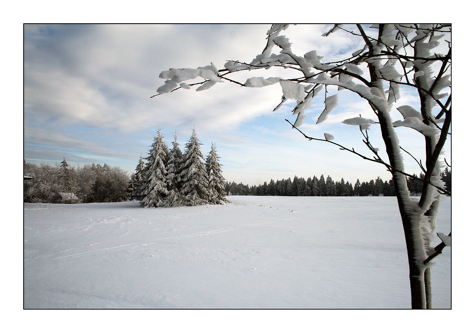 Winterlandschaft