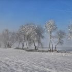 Winterlandschaft