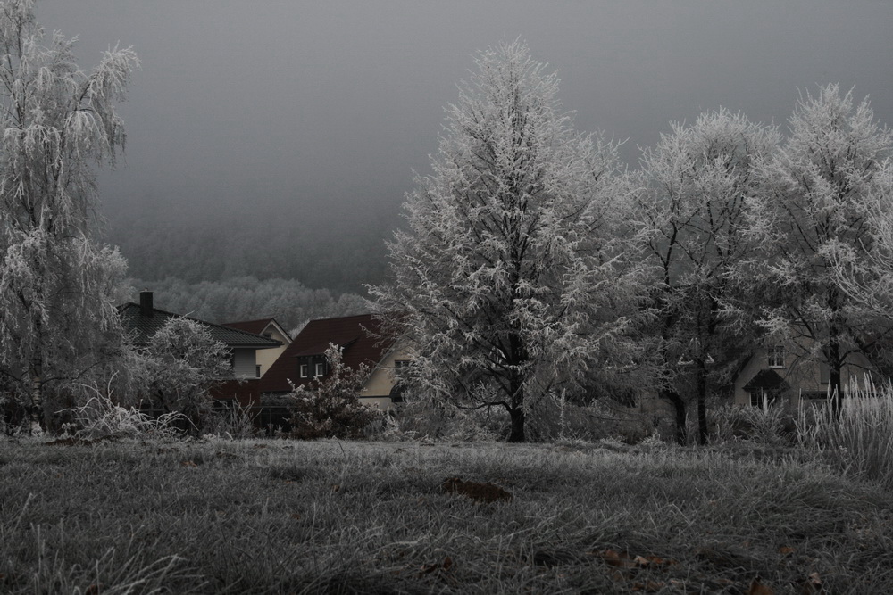 Winterlandschaft