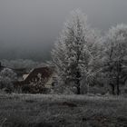 Winterlandschaft