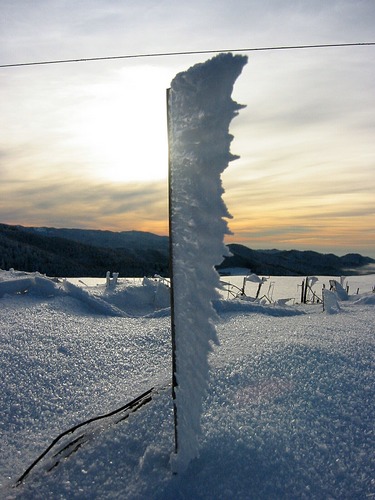 Winterlandschaft