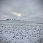 Winterlandschaft