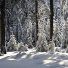 Winterlandschaft