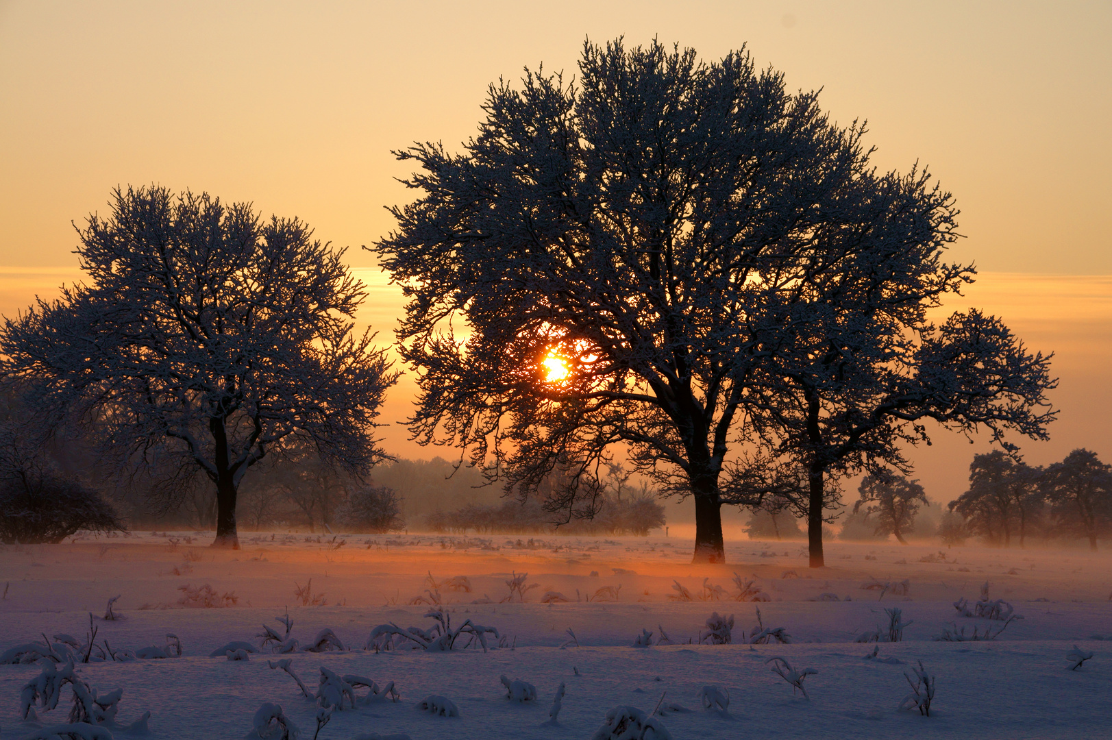 Winterlandschaft