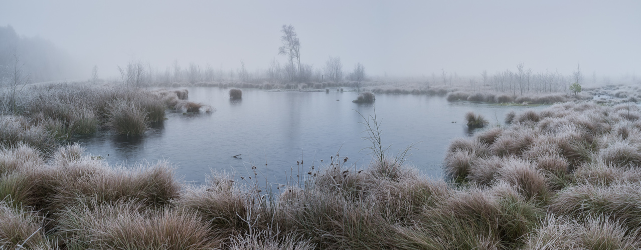 Winterlandschaft