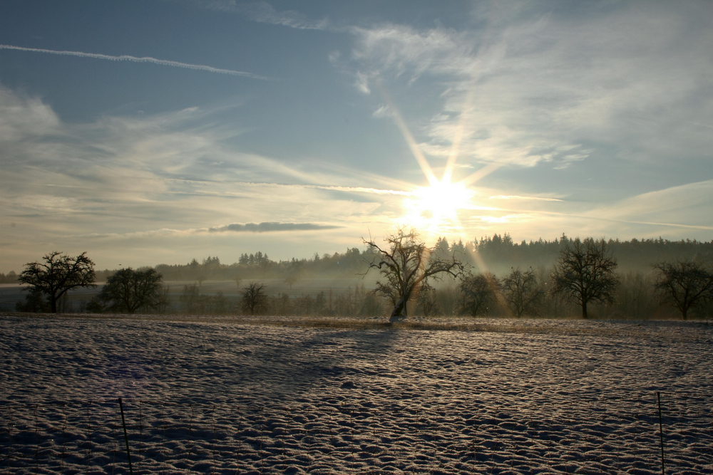 Winterlandschaft