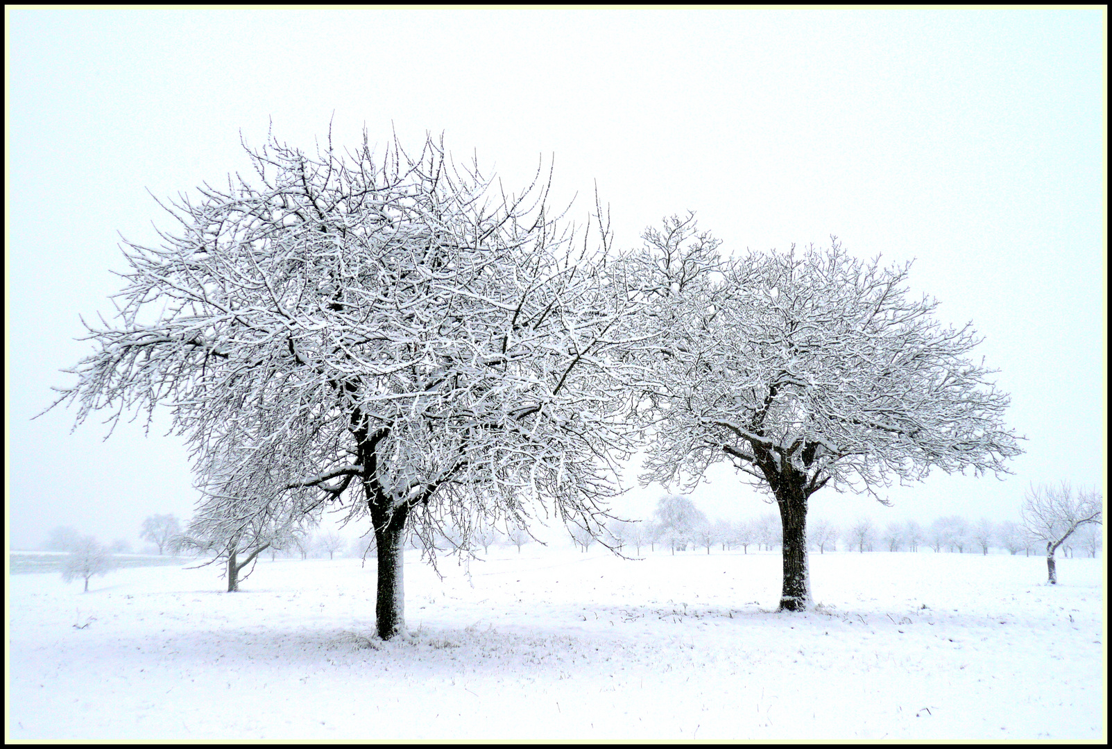 Winterlandschaft