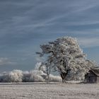 Winterlandschaft