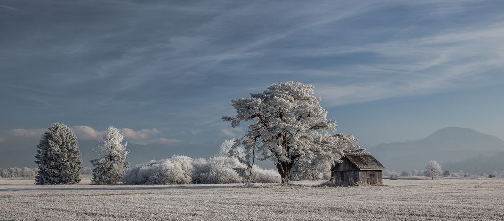 Winterlandschaft