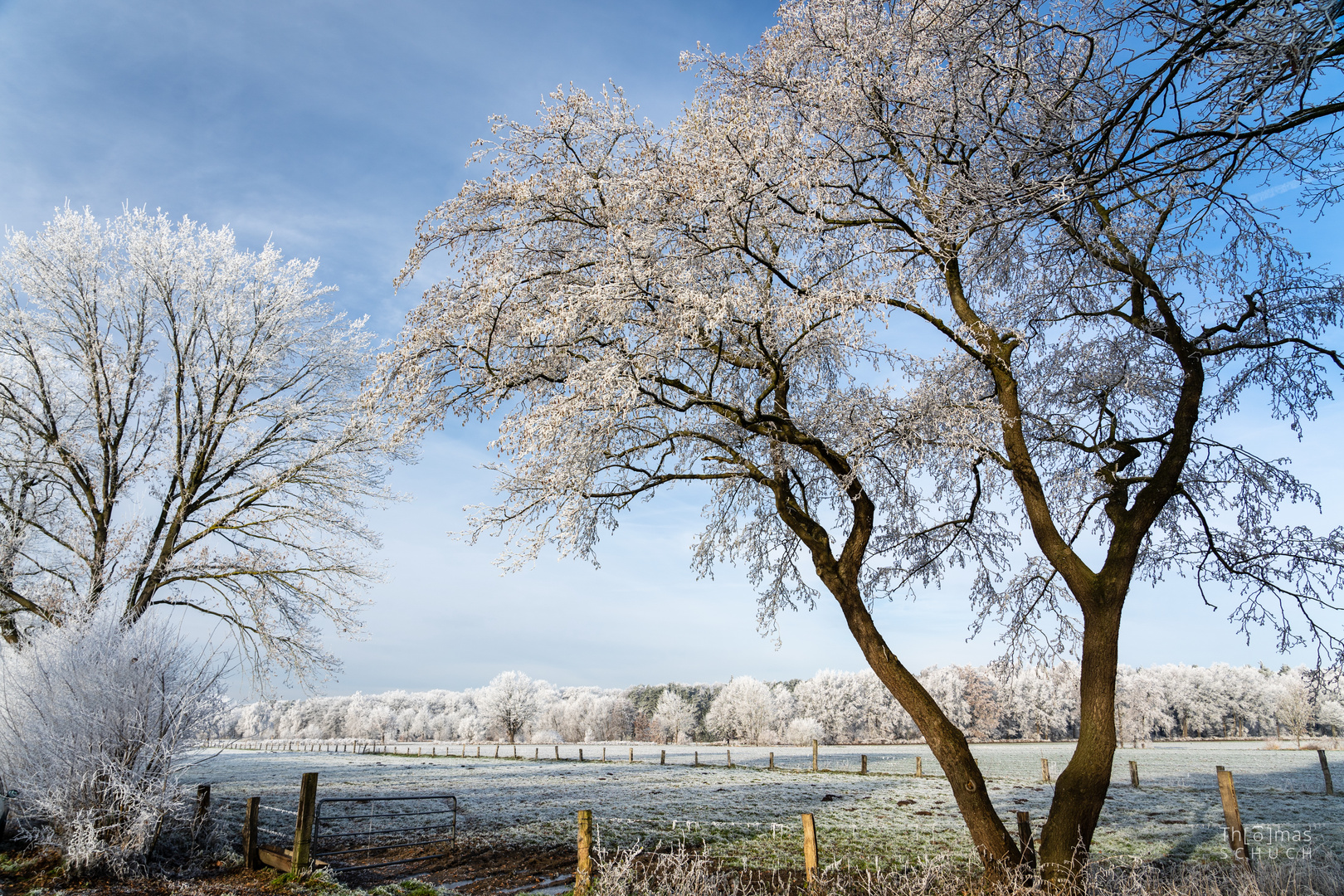 Winterlandschaft