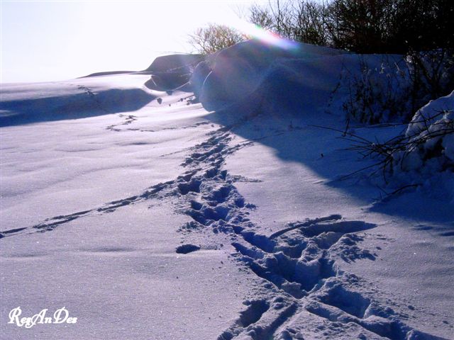 Winterlandschaft