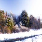 Winterlandschaft