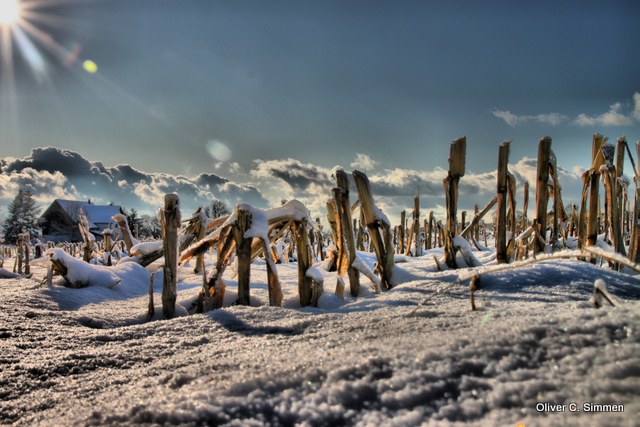 Winterlandschaft