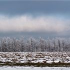 Winterlandschaft