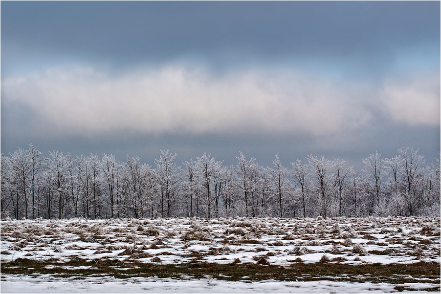 Winterlandschaft