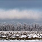 Winterlandschaft