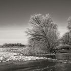 Winterlandschaft