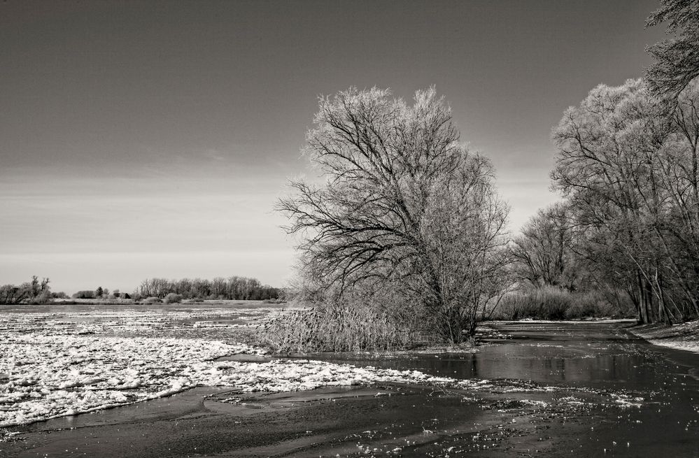 Winterlandschaft