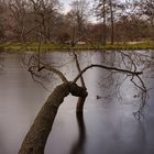 Winterlandschaft