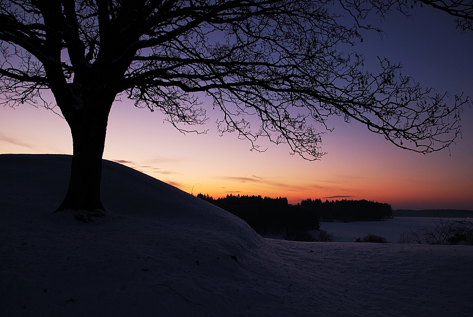 Winterlandschaft