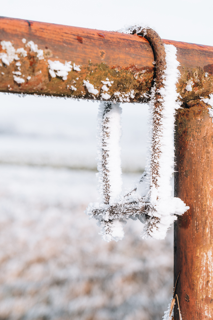 Winterlandschaft