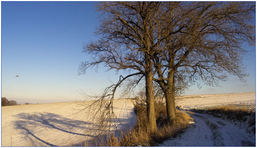 winterlandschaft