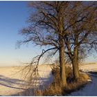 winterlandschaft