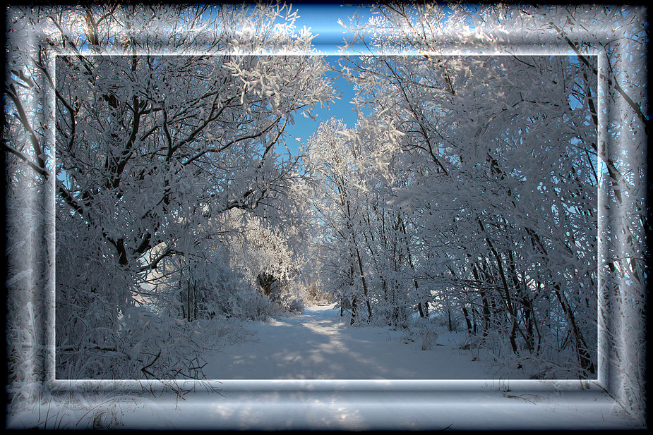 Winterlandschaft