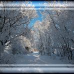 Winterlandschaft