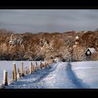 Winterlandschaft