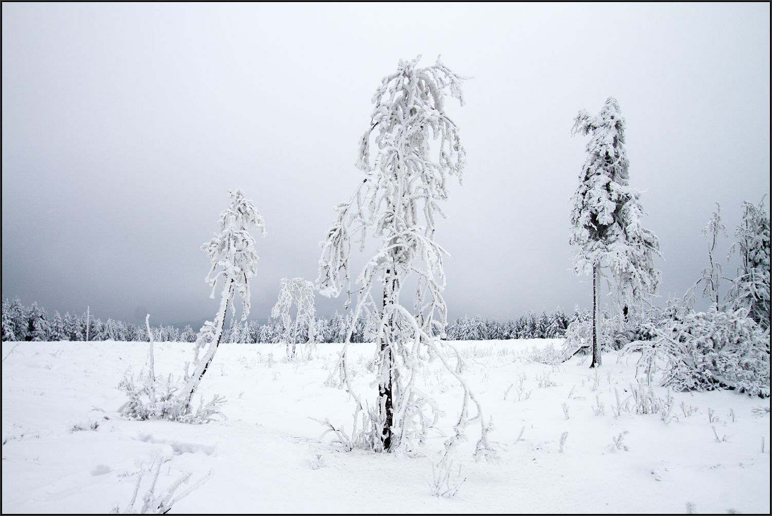 Winterlandschaft