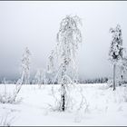 Winterlandschaft