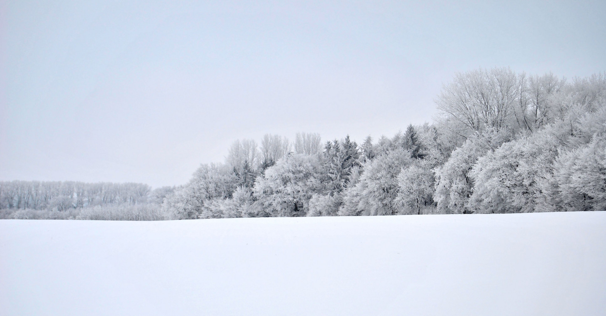 Winterlandschaft