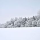 Winterlandschaft