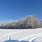 Winterlandschaft 4