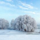 Winterlandschaft 4