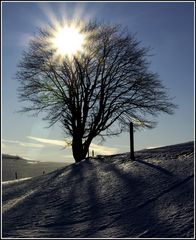 Winterlandschaft 4