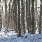 Winterlandschaft 4