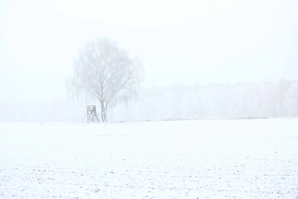 Winterlandschaft