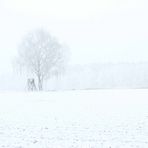 Winterlandschaft