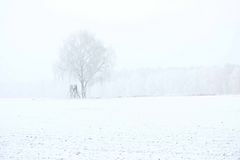 Winterlandschaft