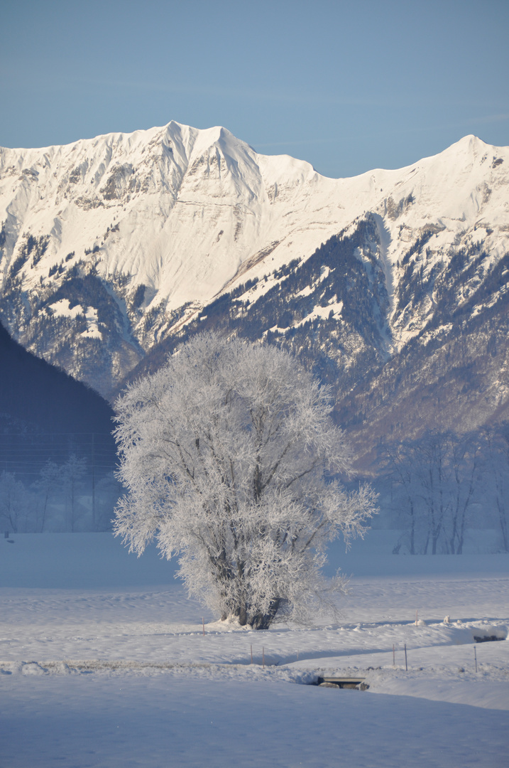 Winterlandschaft