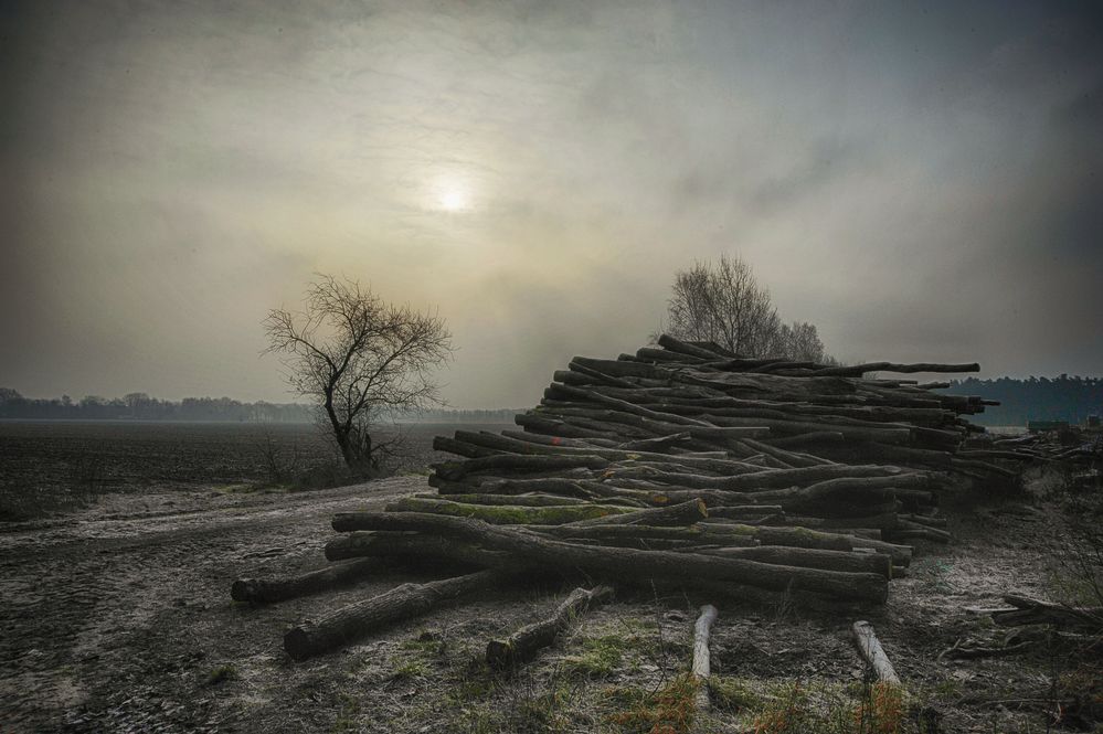 Winterlandschaft