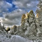 Winterlandschaft